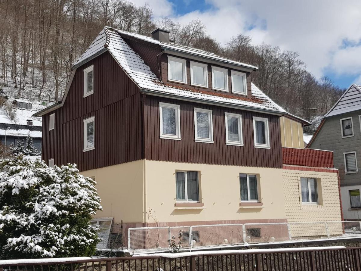 Haus Am Fluss Mit Wunderschoener Dachterrasse Mit Flussblick ,Garten Und Grill Zorge ภายนอก รูปภาพ