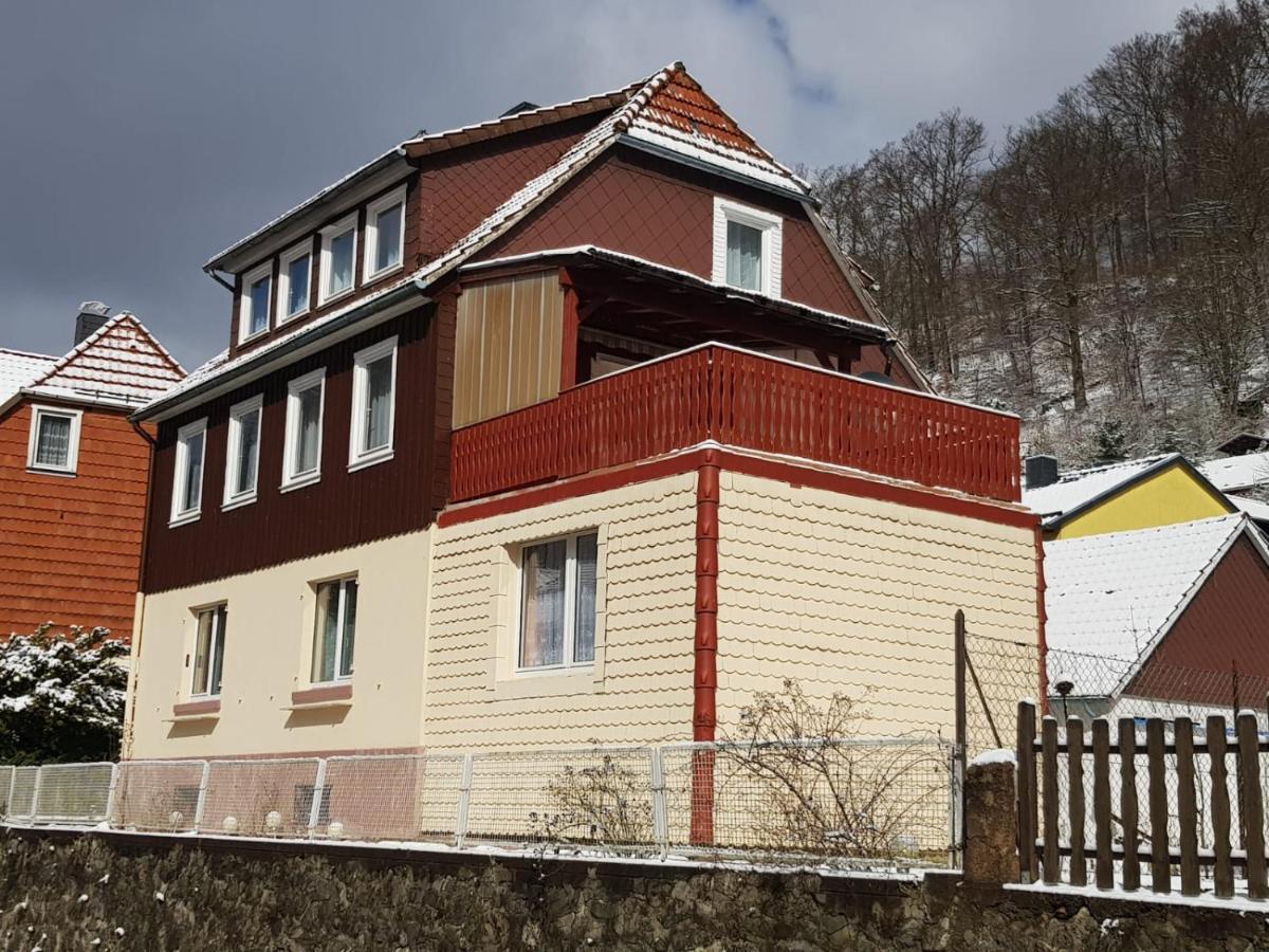 Haus Am Fluss Mit Wunderschoener Dachterrasse Mit Flussblick ,Garten Und Grill Zorge ภายนอก รูปภาพ